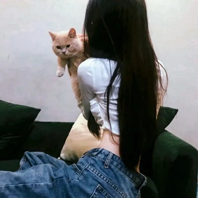 妃子笑